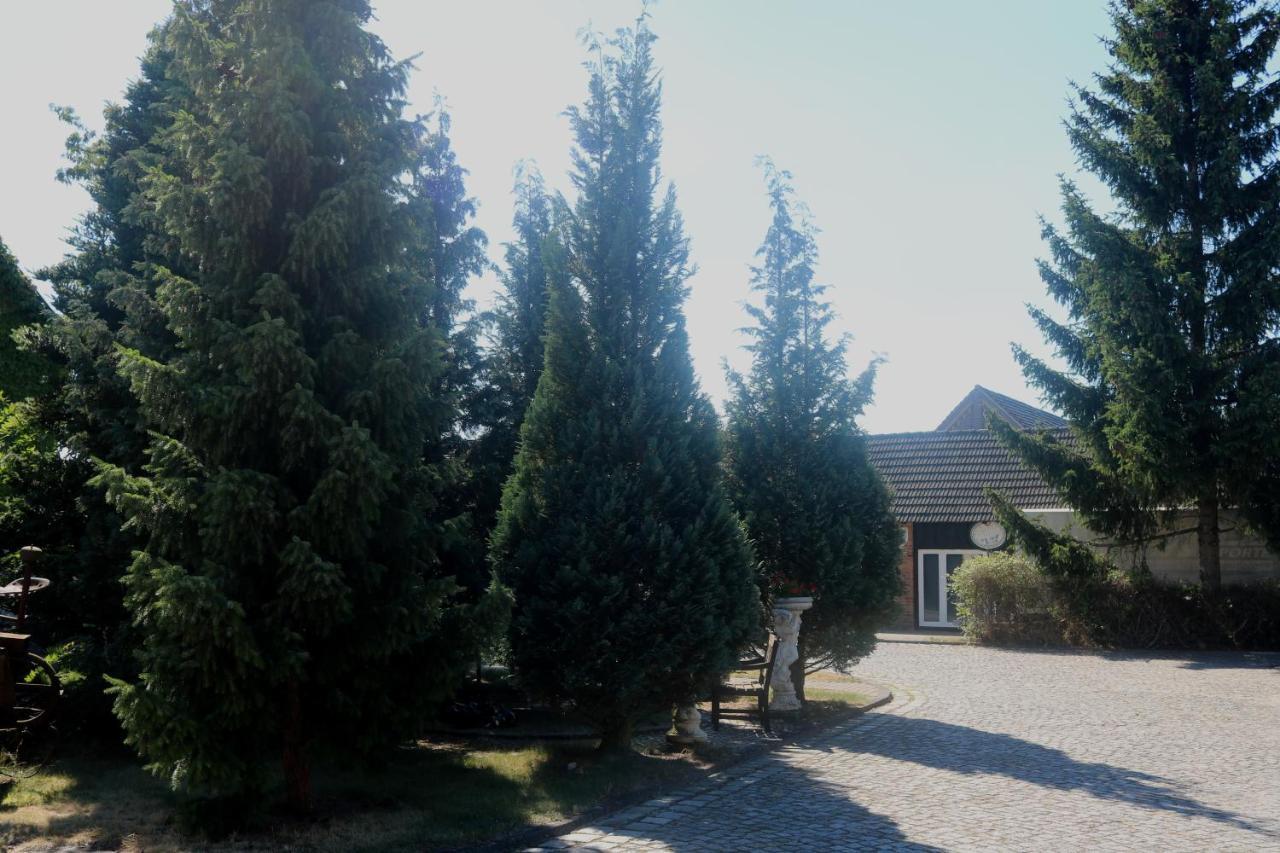 Spreewaldhotel Garni Raddusch Vetschau Εξωτερικό φωτογραφία